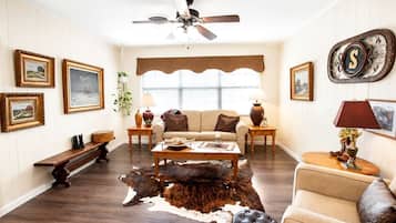 TV, fireplace, DVD player, video library