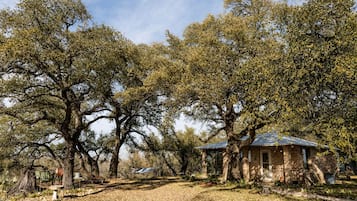A rustic cabin surrounded by mature trees in a natural setting.