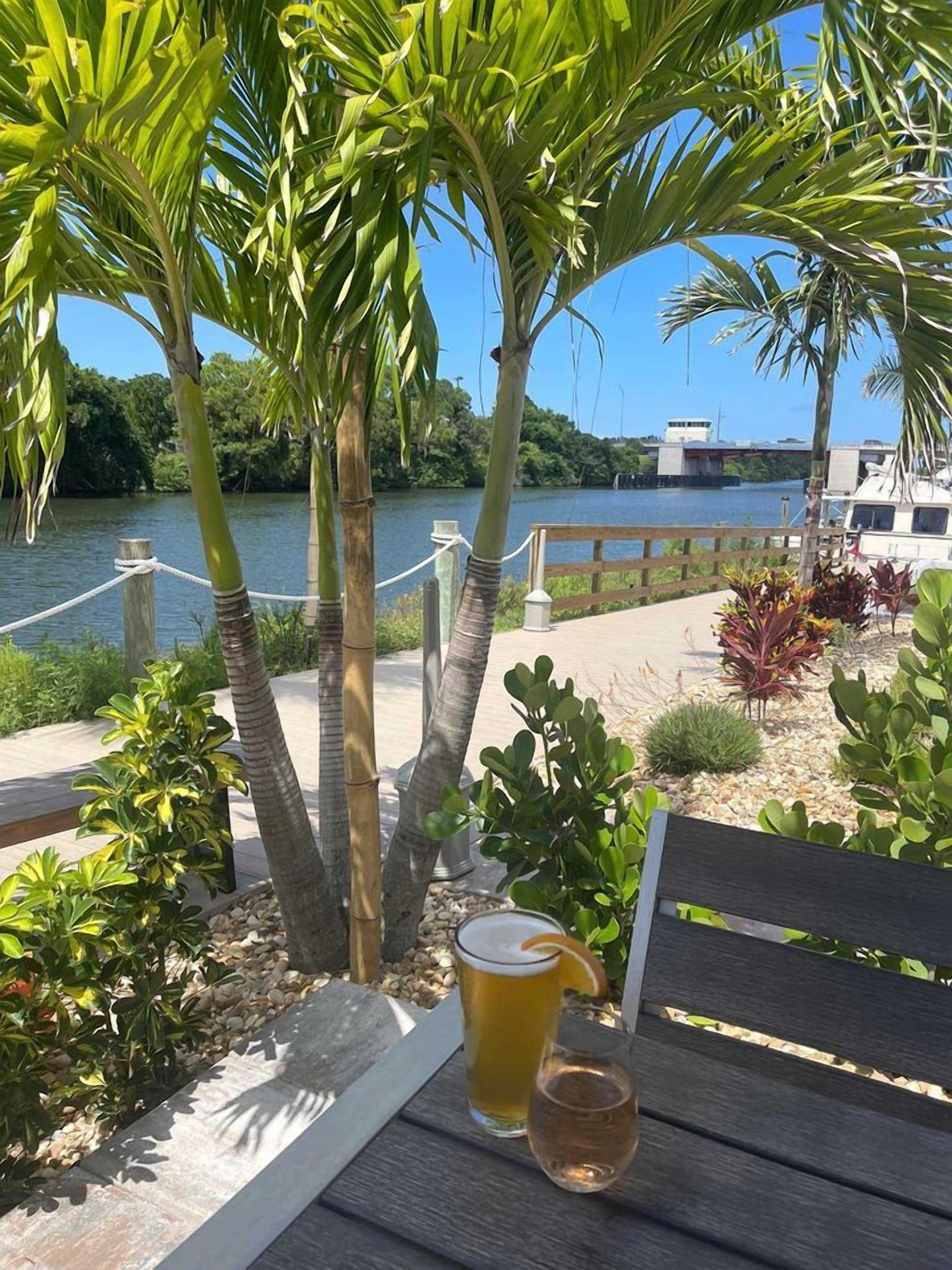 A wooden bench with a glass of beer and a glass of wine, surrounded by palm trees and a body of water.