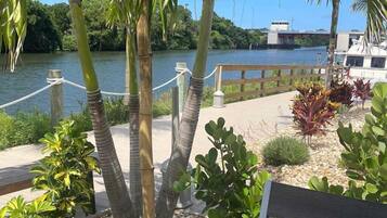 A wooden bench with a glass of beer and a glass of wine, surrounded by palm trees and a body of water.