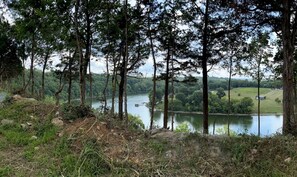 A natural landscape with a lake, trees, and a distant view of a small settlement. - Impressie Tube Vacation Rental with Fire Pit in Danville, Kentucky (Danville)