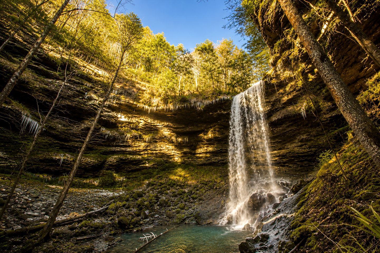 Ein natürlicher Wasserfall, umgeben von dichtem Wald.