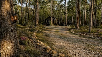 A cabin in a forest with a gravel path leading to it.