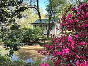 Property grounds - Charming and Secluded Cottage Overlooking a Woodland Pond, near Helen, Georgia (Blairsville)