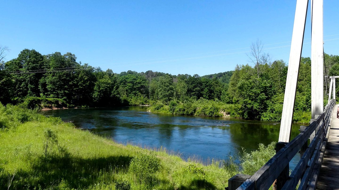 A river with a bridge, surrounded by greenery.