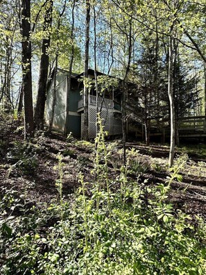 Property grounds - Serene and Pet Friendly Woodland Cottage, Nestled in the Blue Ridge Mountains of Georgia (Blairsville)