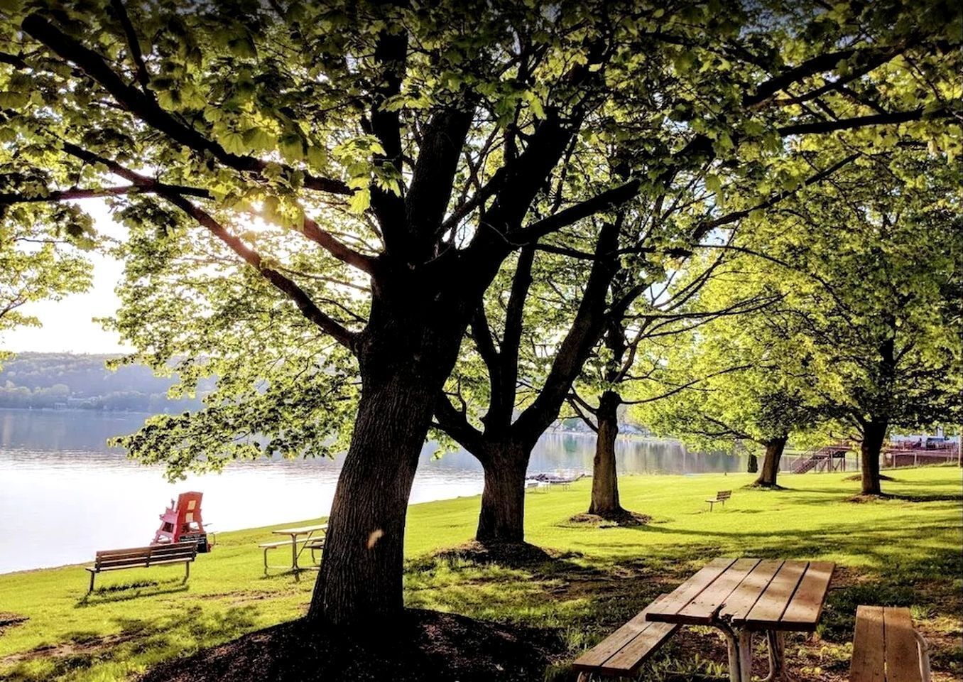 Parco della struttura