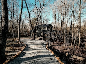 Property grounds - Secluded Cabin in the Woods in Monteagle, Tennessee (Monteagle)