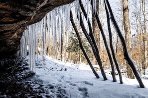 A snowy forest with icicles hanging from a rock formation. - Secluded Cabin in the Woods in Monteagle, Tennessee (Monteagle)