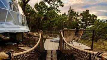 A rope bridge leading to a treehouse with a transparent roof, surrounded by natural scenery.