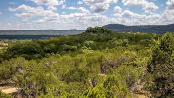 A natural landscape with dense greenery and a hill in the distance.