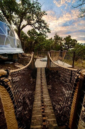 Un puente colgante que lleva a una casa del árbol con techo transparente, rodeada de paisaje natural.