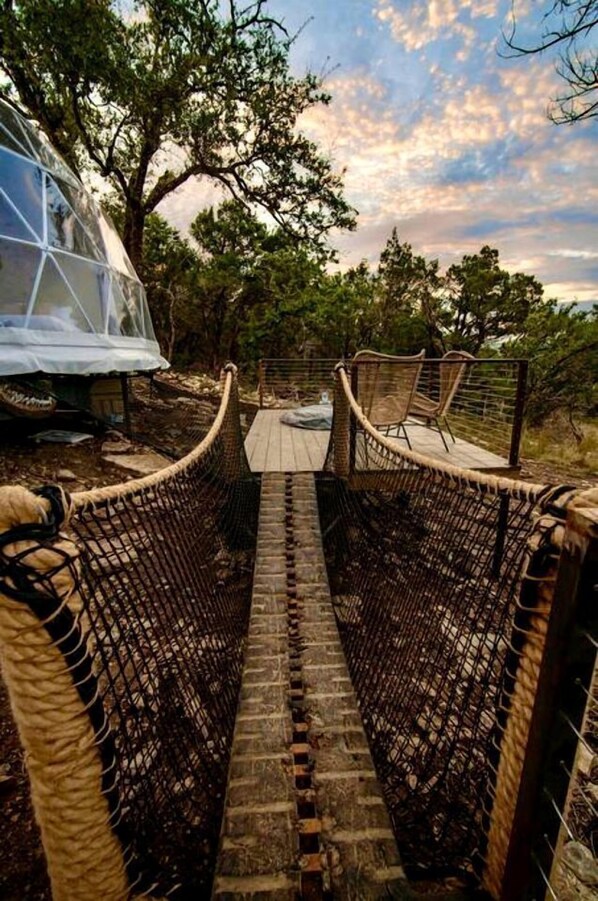 Un puente colgante que lleva a una casa del árbol con techo transparente, rodeada de paisaje natural.