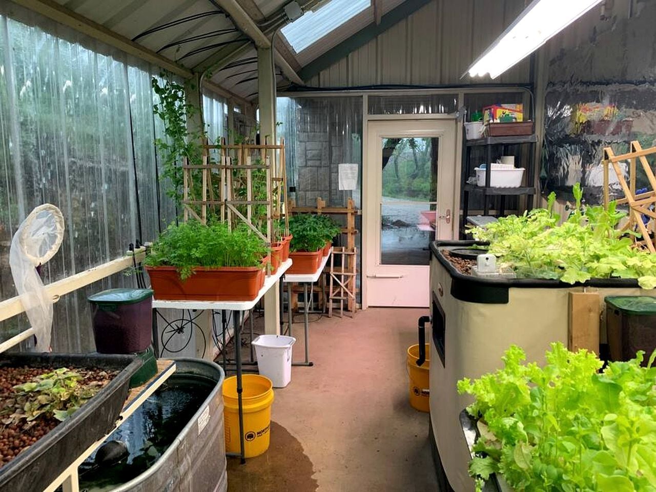 Une serre avec des plantes, une table, une échelle et une porte donnant sur l’extérieur.