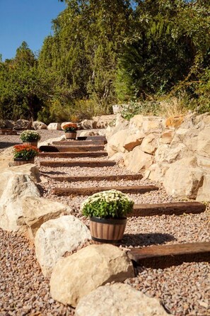 A stone pathway with potted plants and large rocks.