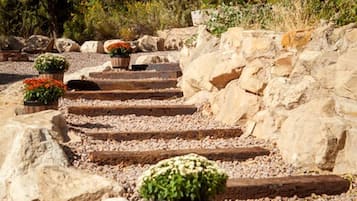 A stone pathway with potted plants and large rocks.
