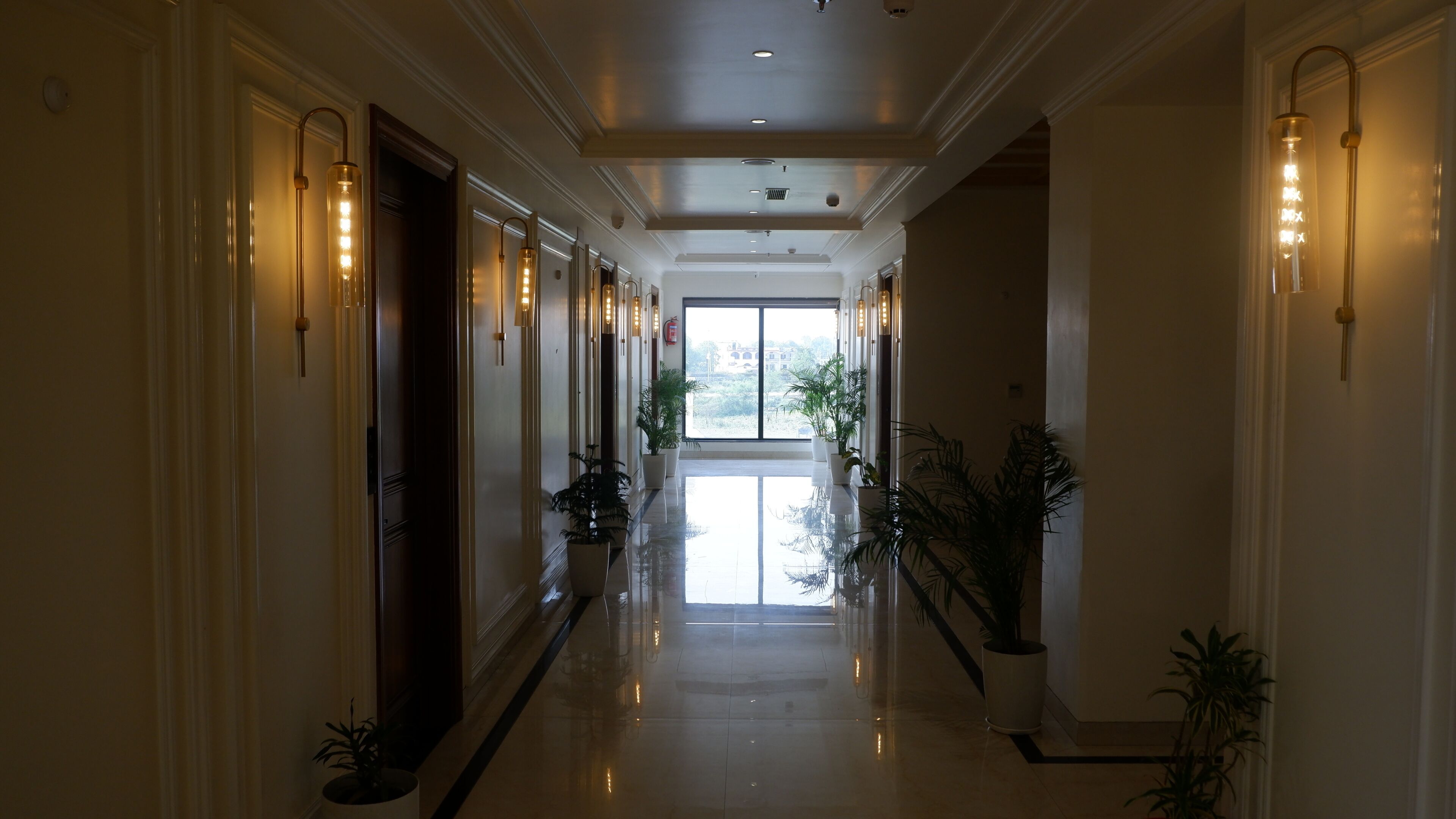 A hotel corridor with a reflective floor, potted plants, and wall-mounted lighting fixtures.