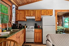 Private kitchen - Dog-Friendly Cabin with Indoor Jacuzzi in Sevierville, Tennessee (Sevierville)