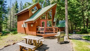 Exterior - Bright and Open Cabin with Huge Windows near Hood River, Washington (Trout Lake)