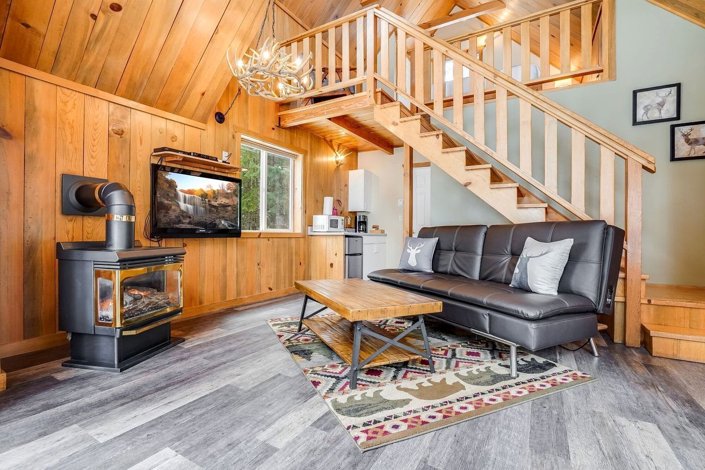 TV, fireplace, DVD player