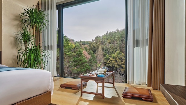 Una habitación de hotel moderna con un ventanal grande, una cama, una mesa de madera con juego de té y una planta grande.