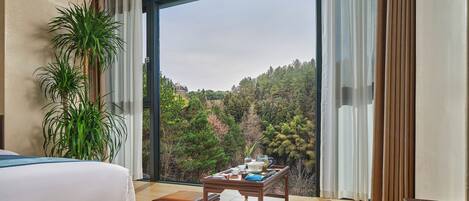 Vistas desde la habitación