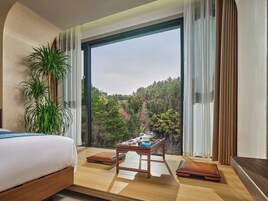 Vista desde la habitación