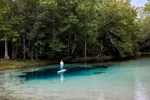 Iemand staat op een paddleboard in een heldere rivier, omringd door dicht bos.