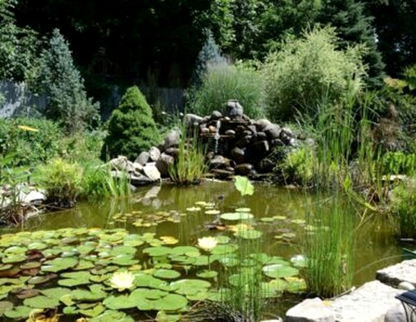 Terrein van de accommodatie