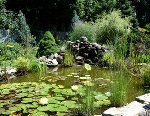 Property grounds - Peaceful Bed and Breakfast Accommodation for Two near Whitewater, Wisconsin (Elkhorn)