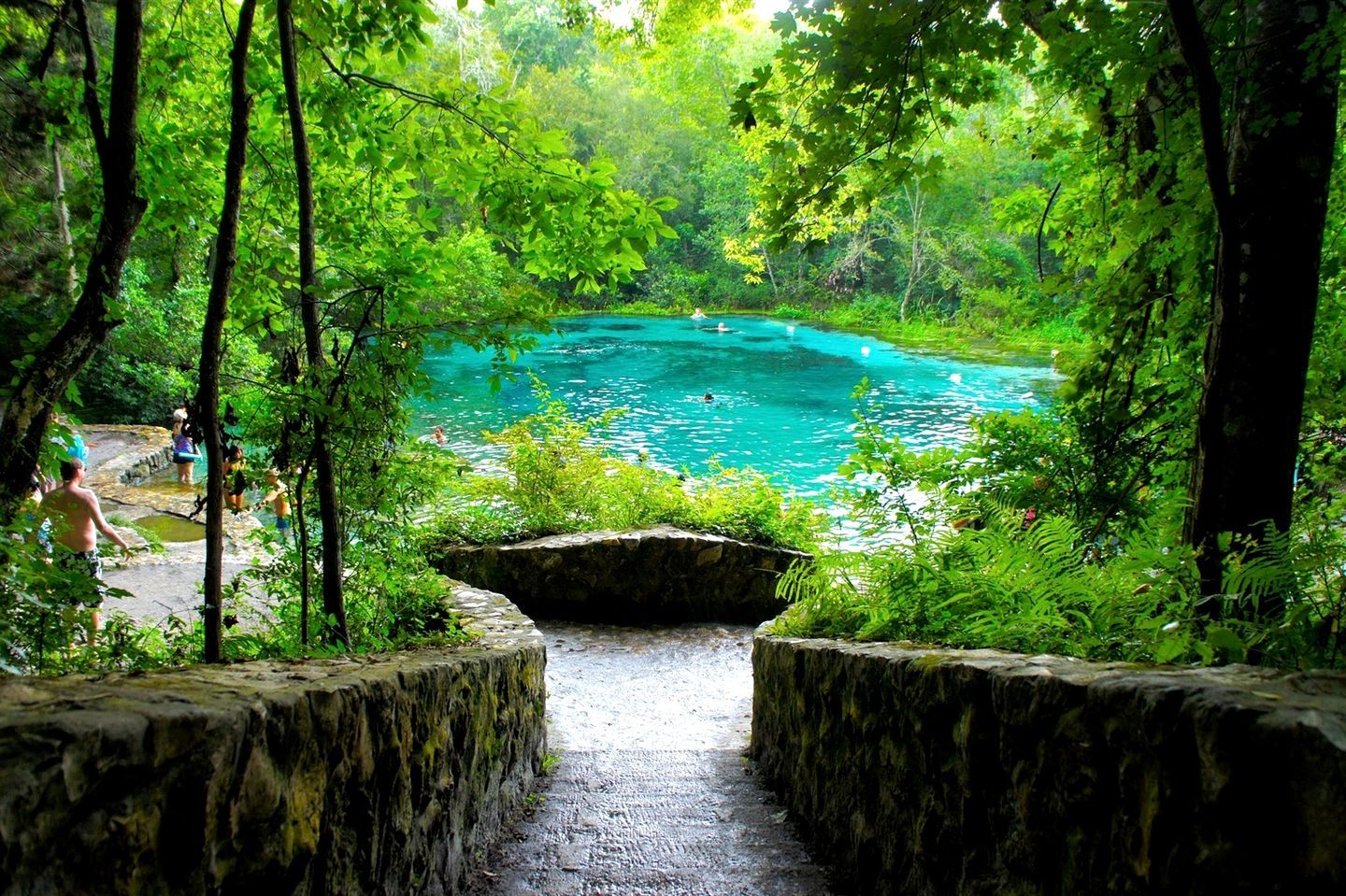 A natural pool surrounded by lush greenery, accessed via a stone pathway.