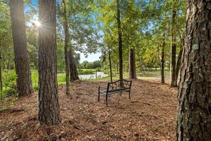 Property grounds - Entire Farm Retreat with Three Modern Cabins in Lake City, Florida, Perfect for an Event or Large Family Getaway (Lake City)