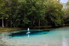 Una persona de pie en una tabla de remo en un río transparente rodeado de un bosque denso.