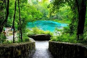 Uma piscina natural rodeada por vegetação exuberante, acessível por um caminho de pedra.