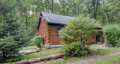 Cozy Cabin with Fire Pit and Hot Tub in Bruceton Mills, West Virginia
