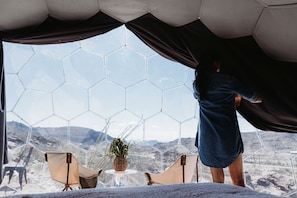 Una habitación con un ventanal hexagonal grande, una planta en maceta y una silla.
