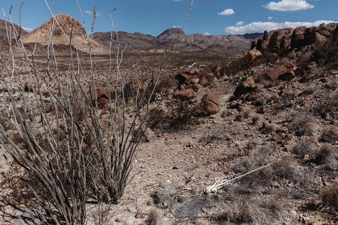 A desert landscape with sparse vegetation, rocky terrain, and distant mountains.