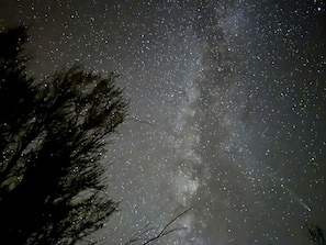 A night sky filled with stars, with a tree silhouette in the foreground.