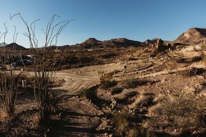 A desert landscape with sparse vegetation, a dirt road, and distant mountains.