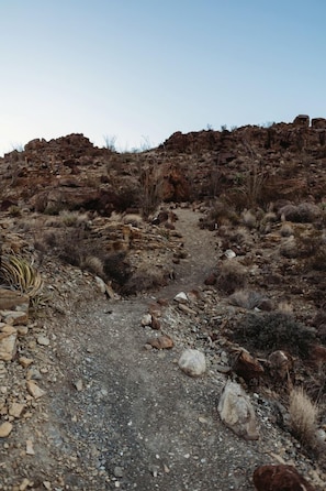 A rocky trail with sparse vegetation and a clear sky.