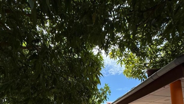 Un sendero conduce a una fila de habitaciones con pilares naranja y un camino de baldosas.