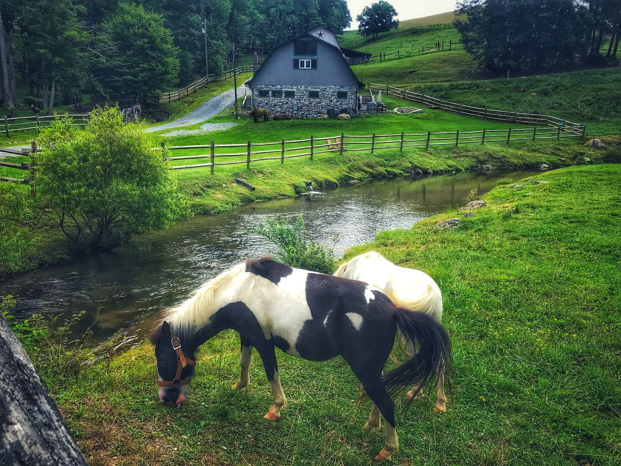 A stable with horses, a small stream, and a fenced pasture.