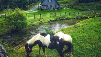 A stable with horses, a small stream, and a fenced pasture.