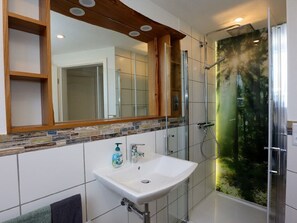 Douche, articles de toilette (gratuits), séchoir à cheveux