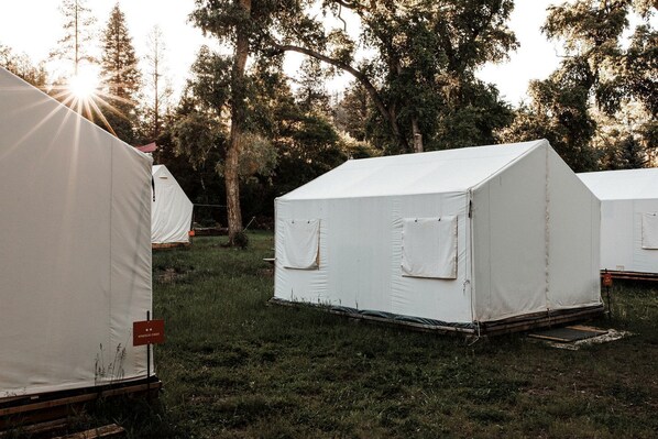 A row of white tents in a grassy area with trees in the background.