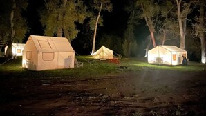 En campingplats med flera tält, vart och ett med ett fönster och en dörr, omgiven av träd.