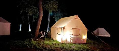 A single tent illuminated at night with a ladder beside it, surrounded by trees.