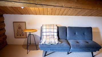 TV, fireplace, DVD player, video library