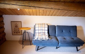 Televisión, chimenea, reproductor de DVD y videoteca