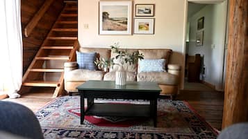 Televisión, chimenea, reproductor de DVD y videoteca